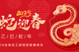 辭舊迎新，蛇舞華章丨深圳容金科技全體員工祝您新春快樂(lè)！